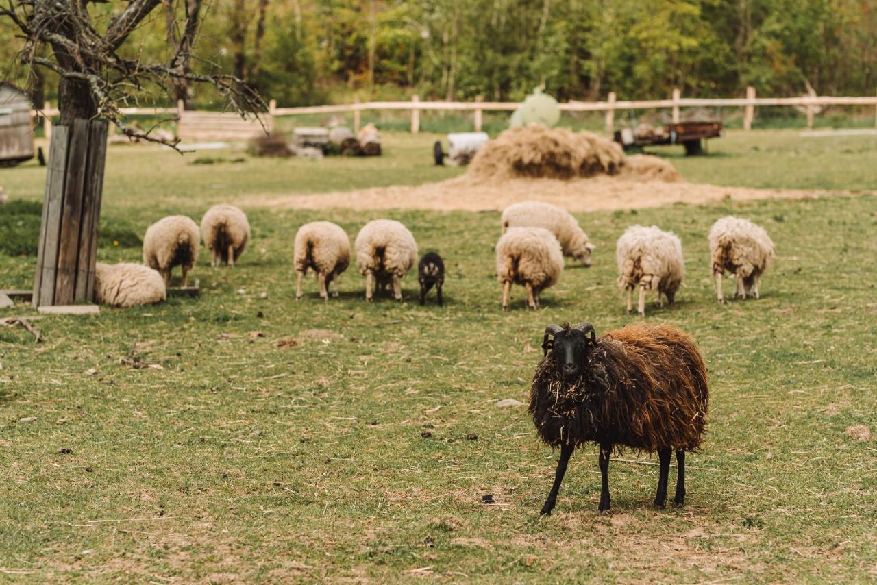 Farma Klokocov Villa Vitkov Bagian luar foto