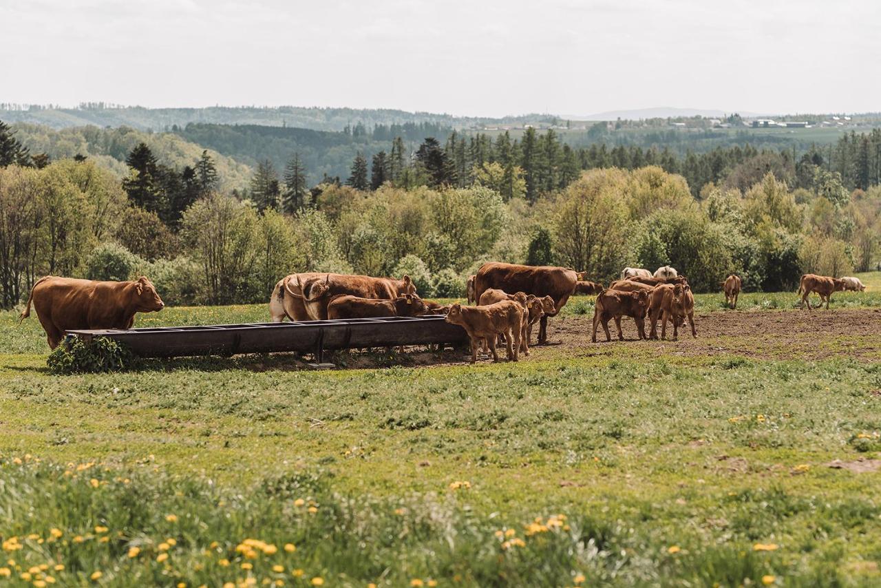 Farma Klokocov Villa Vitkov Bagian luar foto